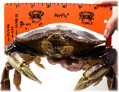 Crab Gauge Measuring Tool - Dungeness, Rock & Blue Crab - 1-Pack Orange