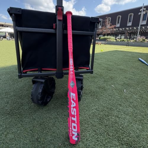 Easton Pink Sapphire Fastpitch Softball Bat 29 Inch -10 Drop Alloy USSSA Approved