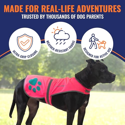 Reflective Dog Vest - Hi-Visibility Medium Safety Gear - Pink