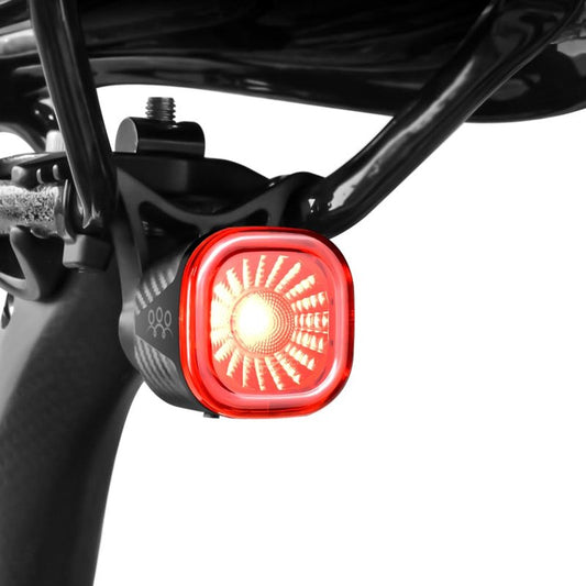 LAOPAO Smart Bike Tail Rear Lights: Small Brake Sensing Bicycle Bright Red Taillights Auto On/Off for Night Ride - USB Rechargeable IPX6 Waterproof Cycling Safety LED Accessories, RS2, Black, RS2-01