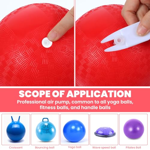 12-Piece Exercise Ball Plug Replacement Kit with Remover Tool