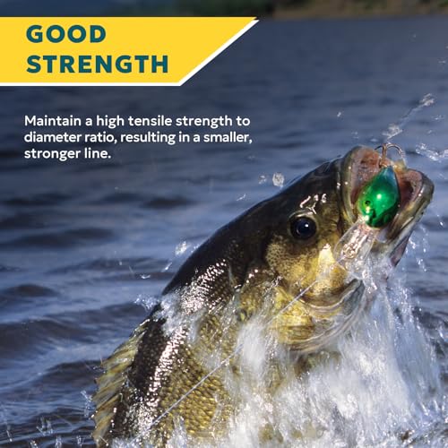 Ultra Smooth Monofilament Fishing Line - 12LB Clear Nylon String 300m