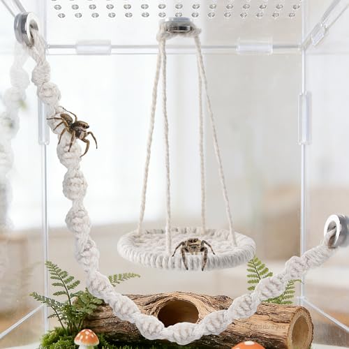 Jumping Spider Swing and Climbing Rope - 2 Piece Set