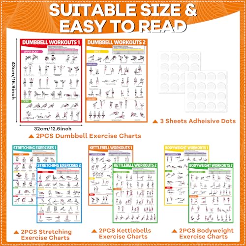 8-Piece Workout Poster Set for Home Gym - Dumbbells, Bodyweight, Stretching, Kettlebell