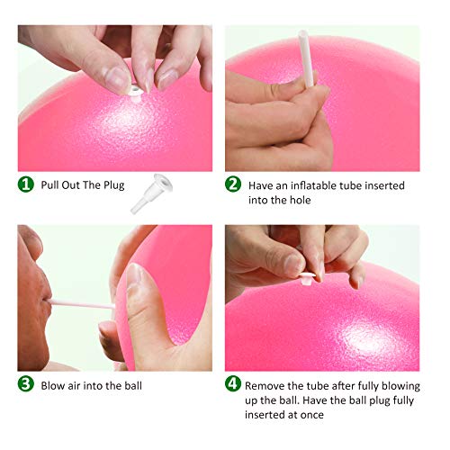 9 Inch Mini Exercise Ball with Inflatable Straw - Pink