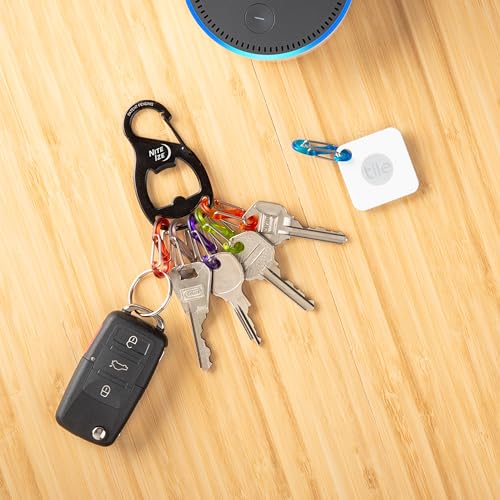 Stainless Steel Key Holder with Colorful S-Biners - Keychain Organizer