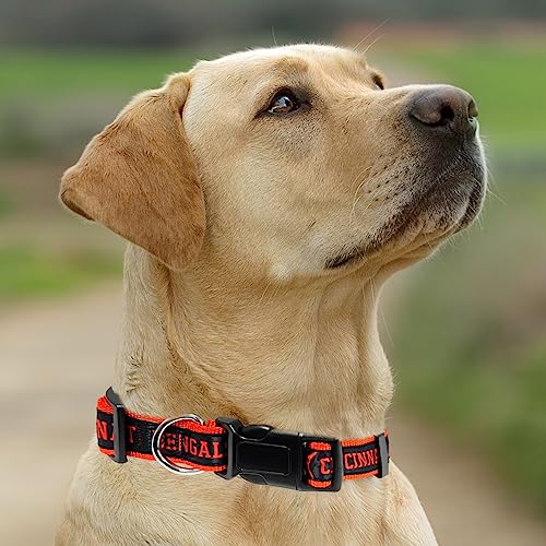 NFL Cincinnati Bengals Dog Collar - Medium, Heavy-Duty & Durable