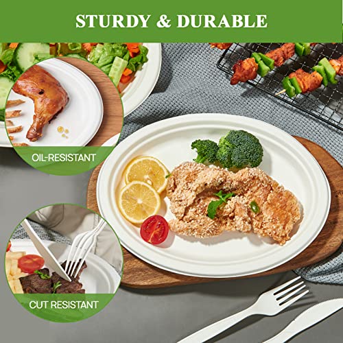 Vplus 12-Inch Compostable Oval Paper Plates 125 Pack White - Eco-Friendly Disposable Dinnerware