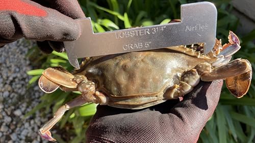 Aluminum Lobster & Crab Gauge - 5" & 3-1/4" Slots - 1pc
