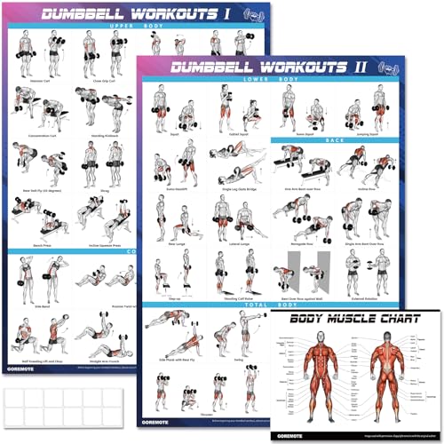 Dumbbell Workout Poster Set (2 Pack) - 44 Exercises, 18" x 24"