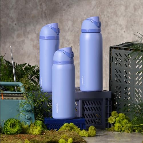 24 oz Insulated Stainless Steel Water Bottle with FreeSip Spout