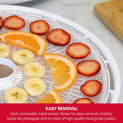 Dehydrator Mesh Screens Set - 2 Pack for Food Drying