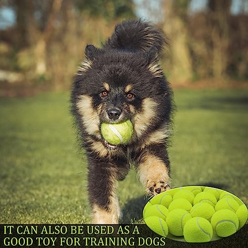 Swingers 20 Pack Tennis Balls - 2.58 inch Training & All‑Surface Balls (Yellow, 20 count)