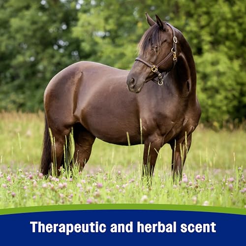Water-Based Botanical Fly Repellent for Horses - 32 Fl Oz