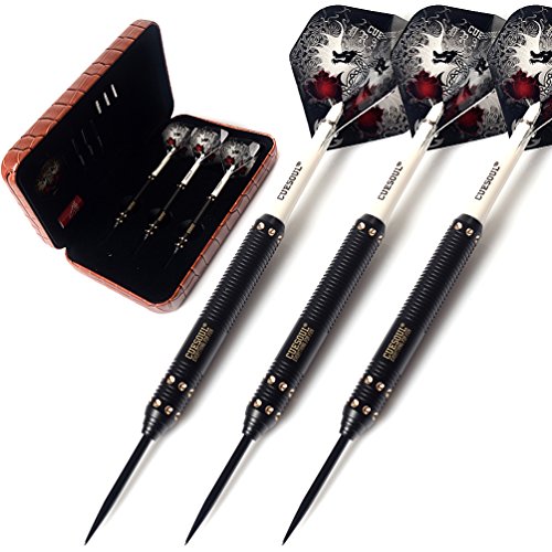 CUESOUL Dragon 21g Professional Steel Tip Darts with Case, 21g-25g Series - 21g variant F2304L