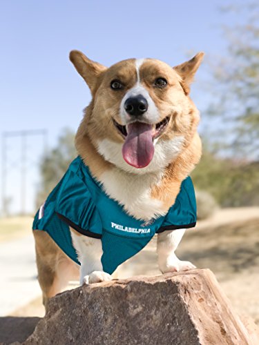 Philadelphia Eagles Dog Jersey - XX-Large NFL Pet Apparel
