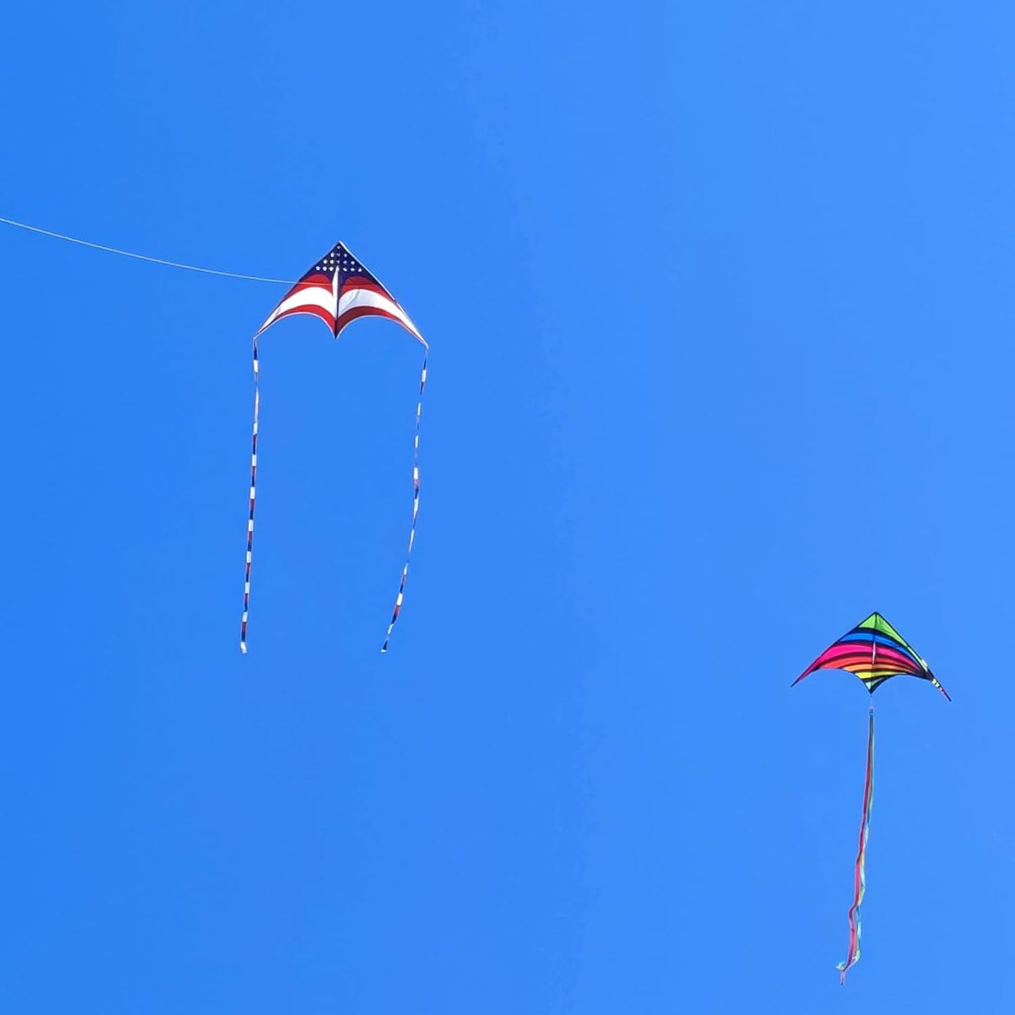 Mint's Colorful Life 60'' Delta Kite - Easy Flying Kite with 7.1in Reel Winder | Perfect for Kids & Adults