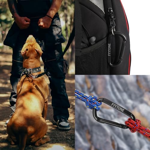 3-Inch Heavy Duty Steel Carabiner Clips - Black Spring Snap Hook - 2 Pack