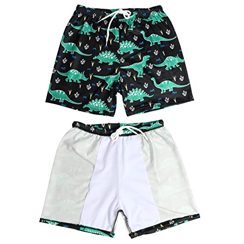 Boys Quick-Dry Swim Trunks - Toddler Board Shorts - Green Dinosaur 4-5T