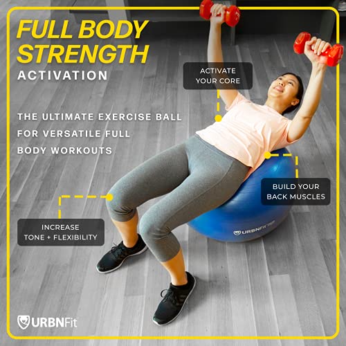 Exercise Ball - 65cm Anti-Burst Yoga Ball for Workout & Pregnancy - Black