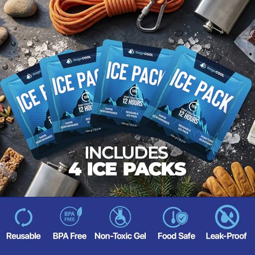 RIDGECOOL 4-Pack Large Reusable Ice Packs, 600g Each | 9.8 x 8.6 in, Leakproof & BPA-Free for Coolers
