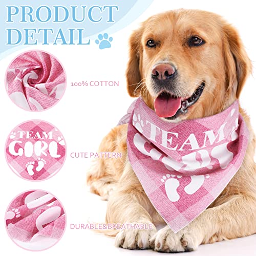 2 Pack Gender Reveal Dog Bandanas - Pink & Blue