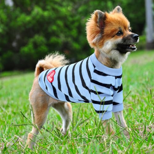 Striped Dog Shirt for Large Dogs - Blue, X-Large