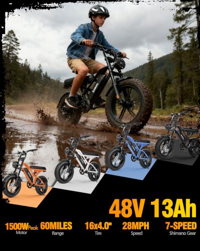 Electric Fat Bike for Adults - 1500W Motor, 60 Miles Range, Black