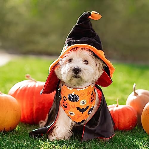 2-Pack Halloween Dog Bandana Set - Pumpkin & Candy Corn - Large