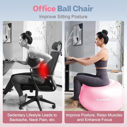 Extra Thick Exercise Ball - Anti-Burst Stability Ball, 23-26in, Misty Rose