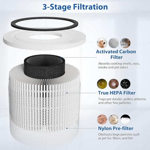 2 Pack 300 Replacement Filter Compatible with 300, 300-RF, 300S, 3-in-1 H13 Grade 300 Filter, Part # 300-RF (2 Pack)