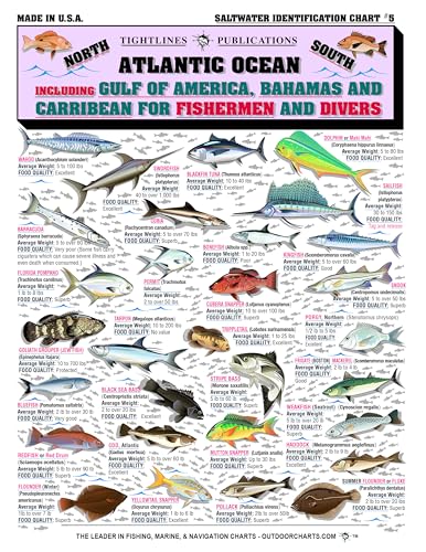 Waterproof Saltwater Fish Identification Chart - 50+ Species