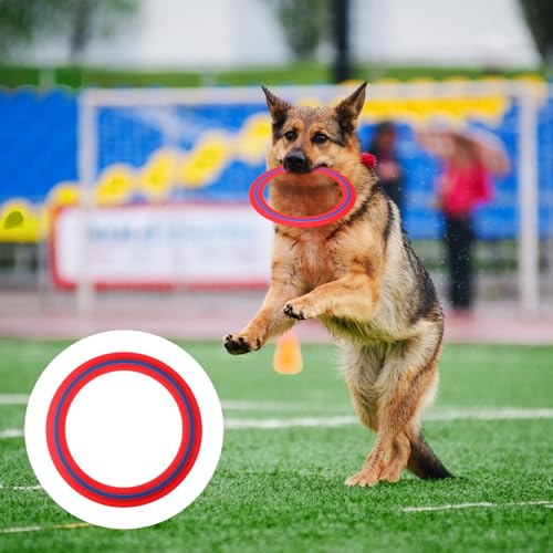 Seenelling 11-Inch Flying Discs Set of 4 - Vibrant Outdoor Throwing Rings for Beach, Pool, Backyard & Camping