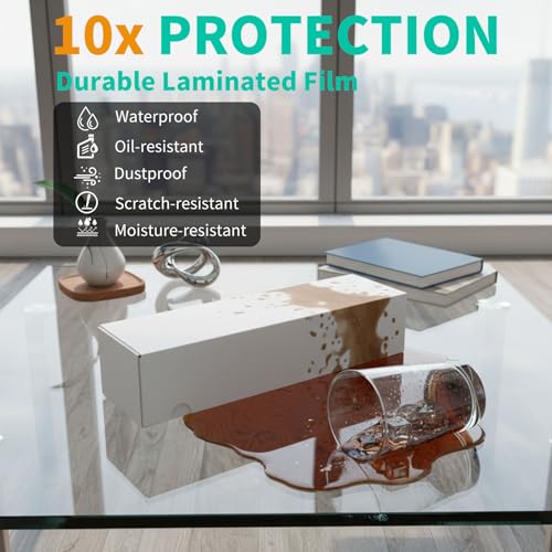 XRACV Laminated Trading Card Storage Box 15in Bulk with Dividers – 10 Pack