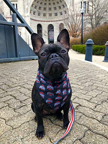Cooling Dog Bandana - Ohio State Buckeyes - Large Red & Black