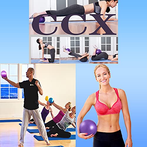 Mini Pilates Exercise Ball - 6 Inch Stability Ball for Home Training