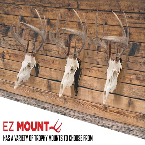 Allen Company EZ Mount Skull Peg Hook, Black
