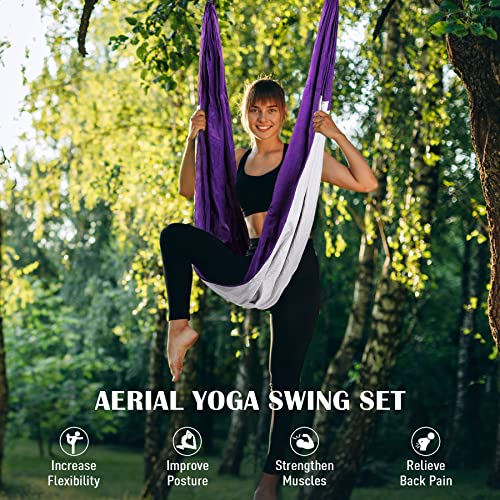 Aerial Yoga Swing Kit - Strong Yoga Hammock with Ceiling Mount - Purple