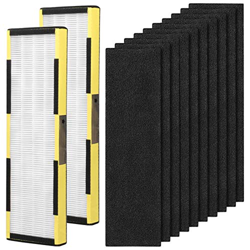 2 Pack Replacement FLT4825 Filter B with 10 Pack Carbon Pre-Filters Compatible with Guardian AC4825, AC4300BPTCA, AC4900CA, AC4825DLX, AC4850PT, CDAP4500BCA, CDAP4500WCA