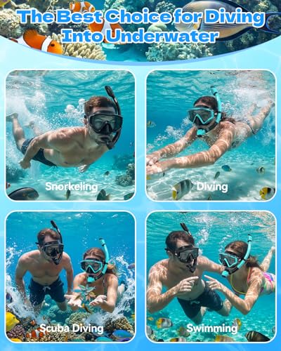 Snorkeling Gear Set for Adults - Dry Top Snorkel & Mask - Carbon Black
