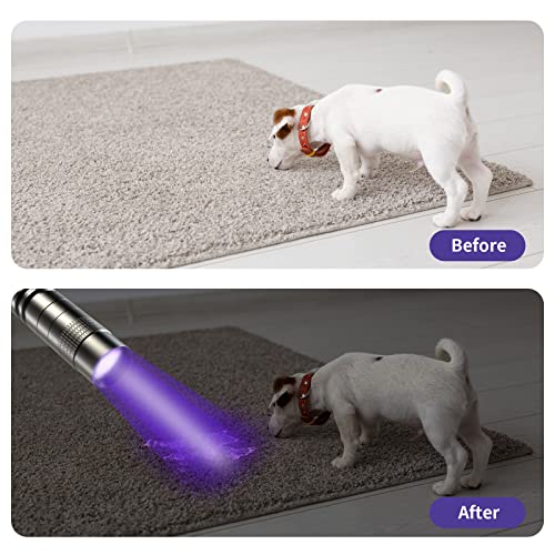 395nm UV Black Light Flashlight - Waterproof Mini Pen Light - Black, 1 Pack