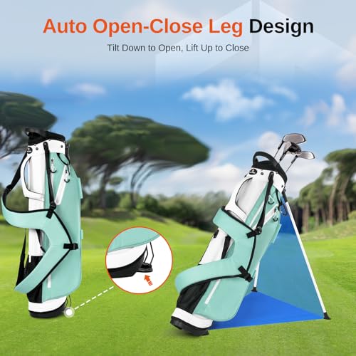 Lightweight Golf Stand Bag - 4-Way Dividers, Holds 10 Clubs, Mint