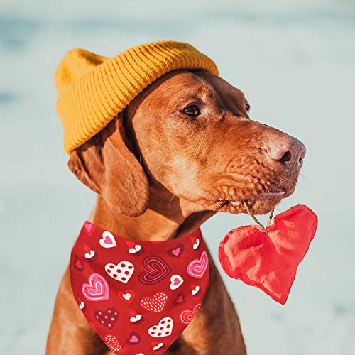 Valentine Dog Bandana Set - Heart Print Pet Scarf for Dogs & Cats - Large