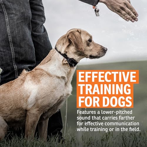 Roy Gonia Special Dog Training Whistle - Orange with Pea