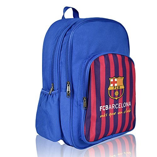Multi Compartment Backpack with Cool Design