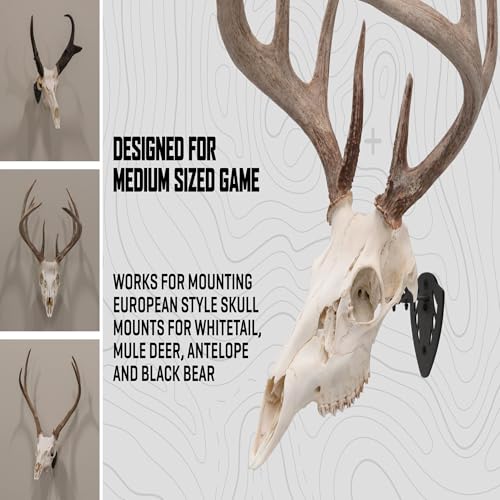 Allen Company EZ Mount Skull Hanger, Fixed, Black