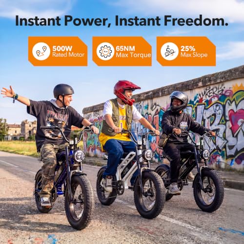 Electric Bike for Kids & Teens - Qlife Spark D1 1500W, 16" Fat Tire - Black
