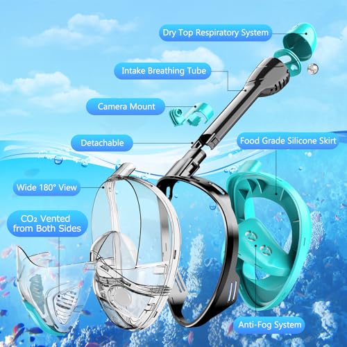 Full Face Snorkel Mask with Detachable Camera Mount - Black Green+Black-S/M