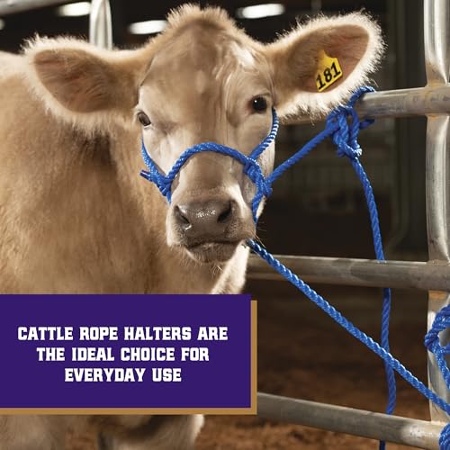 Braided Poly Rope Cattle Halter - Adjustable Blue, One Size