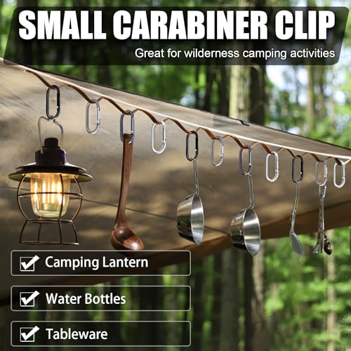 12 Set Aluminum Carabiner Keychain Clips - Assorted Colors